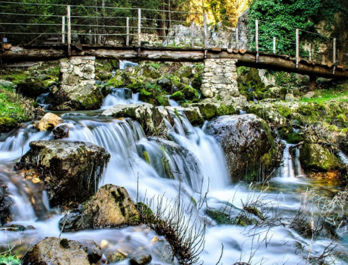 La Ciprisseta di Fontegreca